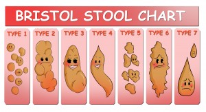 Bristol Poop Chart