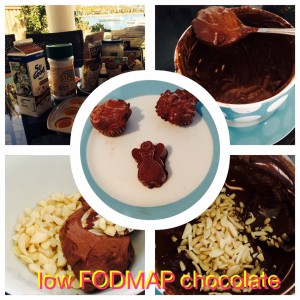 Low FODMAP Chocolate
