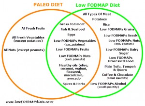 Paleo Diet vs Low FODMAP Diet