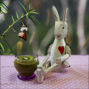 Green Smoothie Hormone Tamer